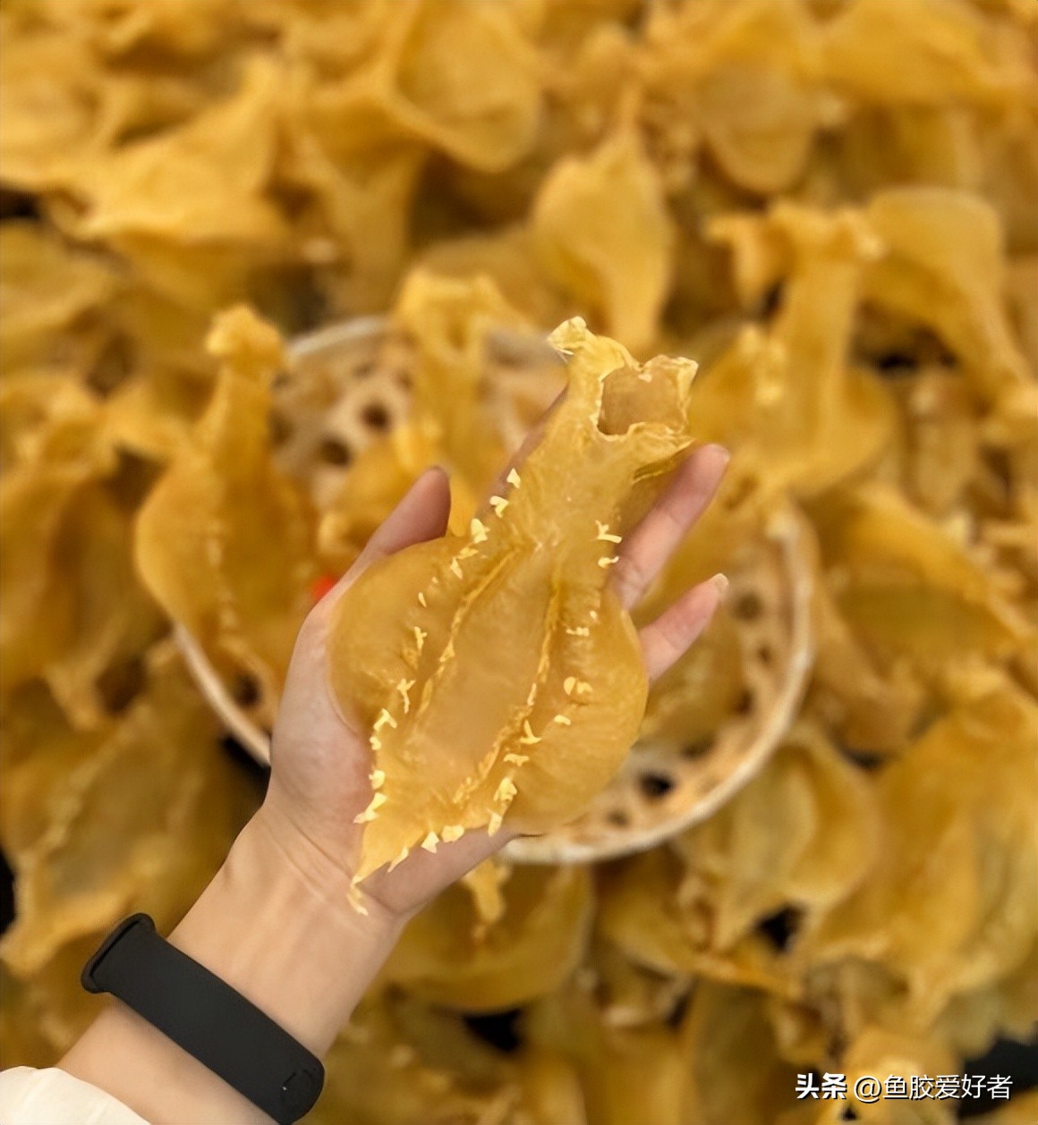 孕期可以吃鱼胶吗？原来孕期吃胶这么讲究，还有这么多好处