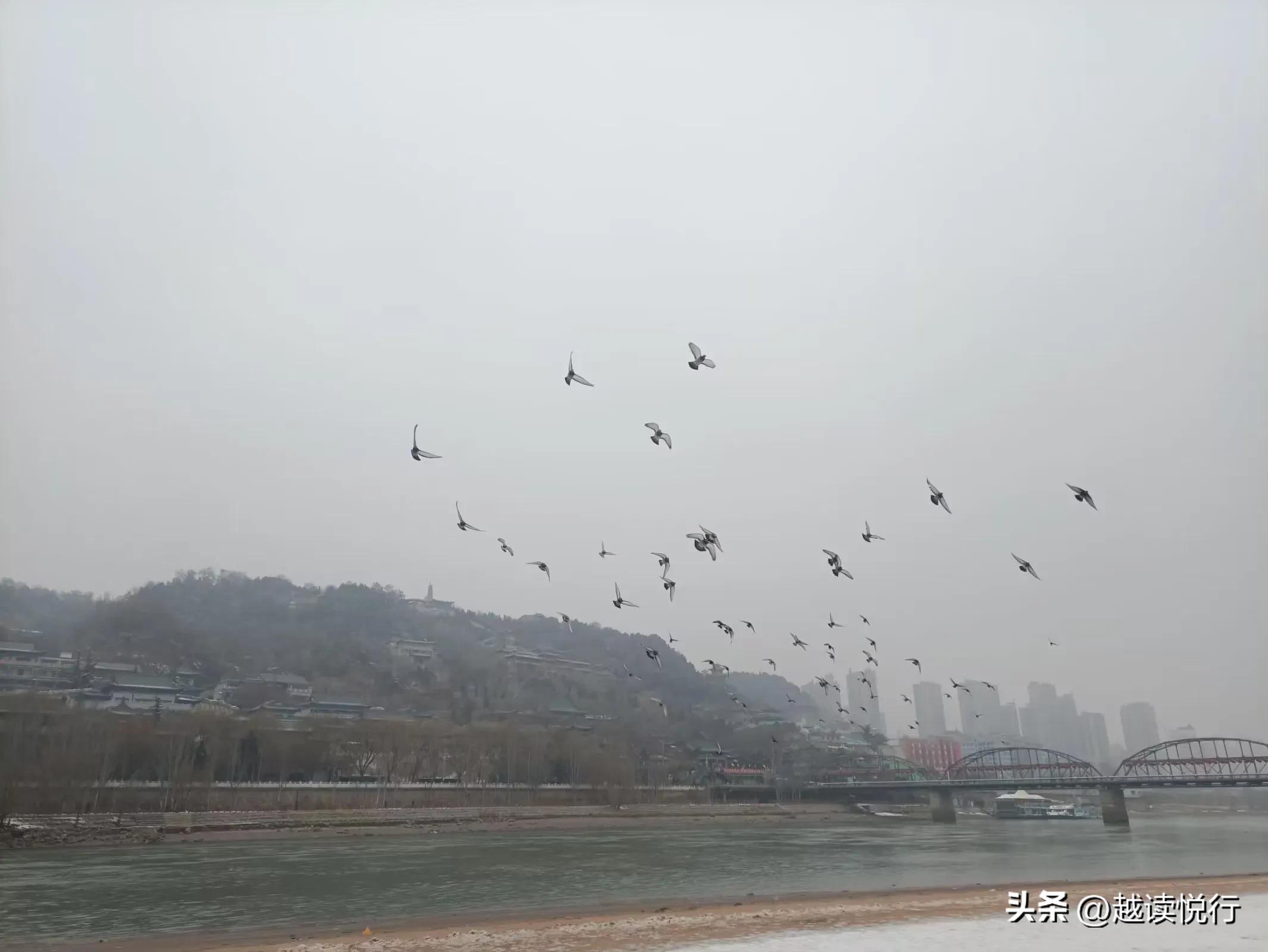 北方春来迟，料峭春寒中，看黄河水暖，白塔山醒！