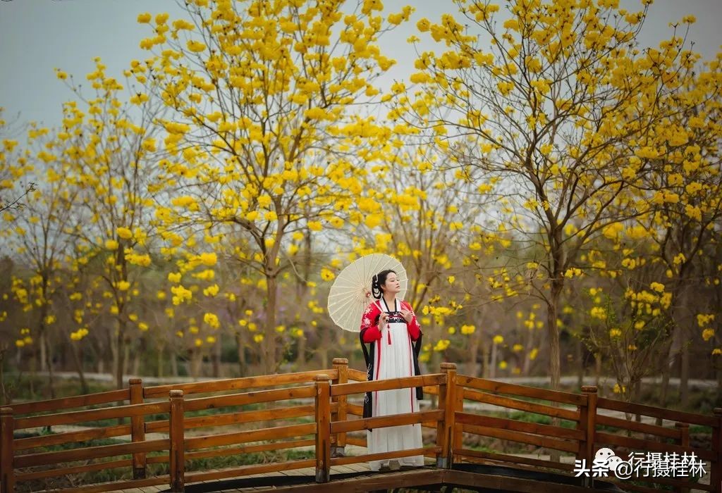 花仙子风铃,风铃花仙子