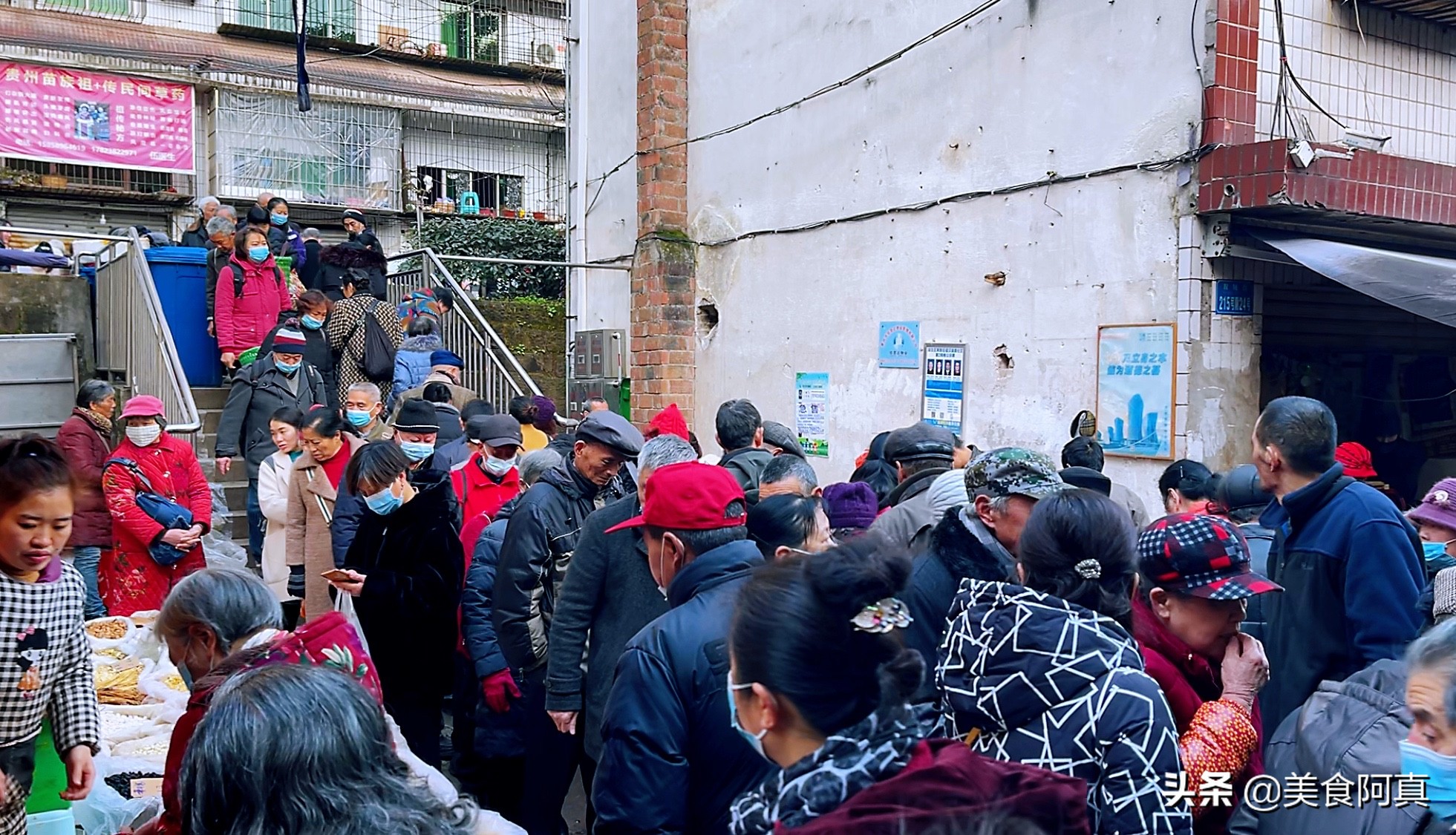 重庆狗儿市场有什么吃的,重庆主城狗市在哪里