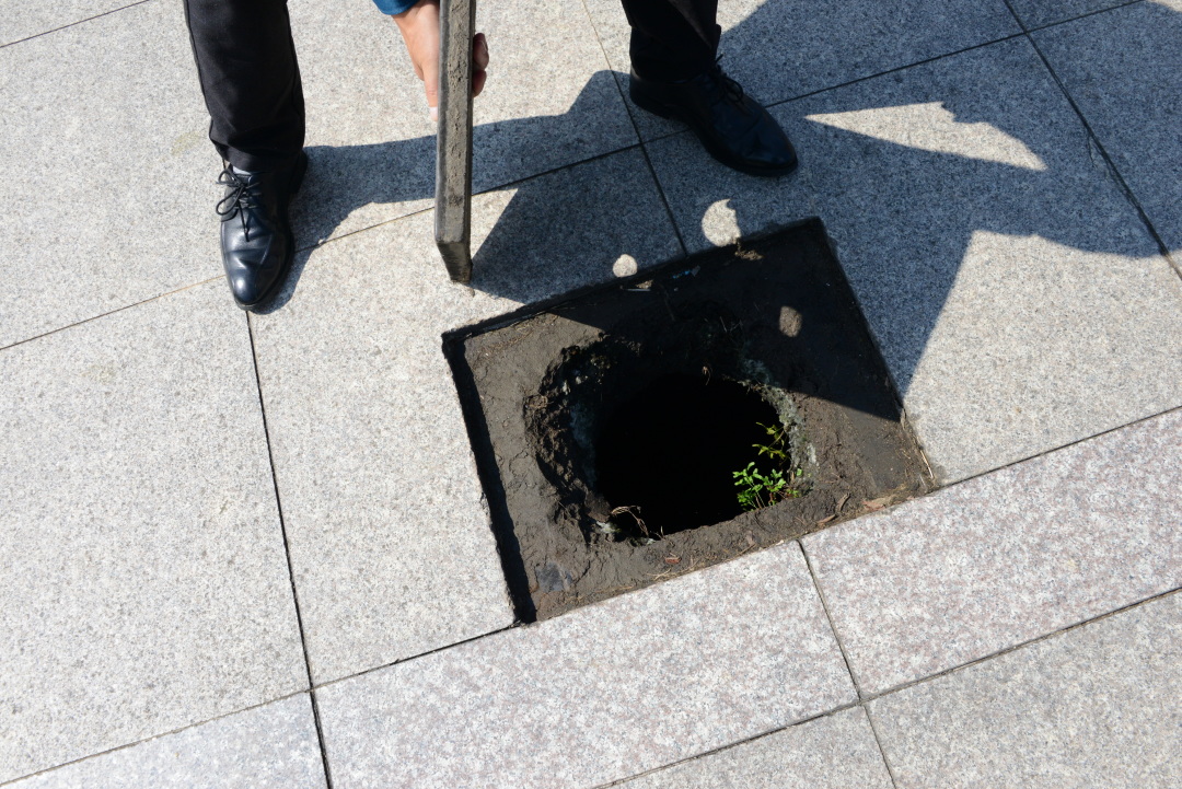 觅苏记,觅苏记宜兴海棠