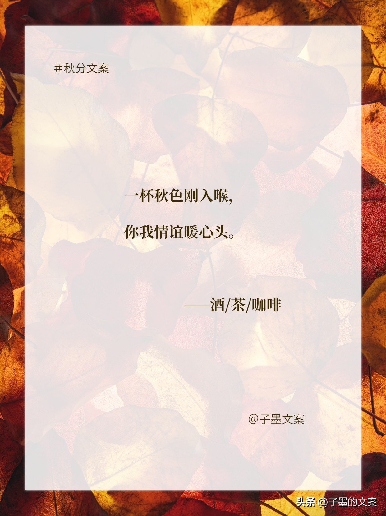 秋分朋友圈文案小红书,秋分暖心文案短句唯美