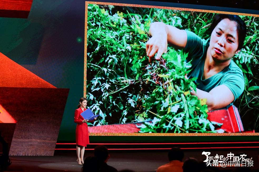 十年沙漠种枣人现在怎么样了,纪录片乡村振兴之沙漠种枣人