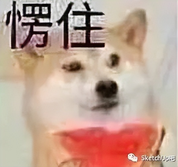 SU告诉你:把80亿人类压缩成一个肉球有多大?