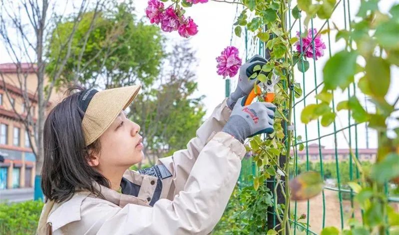 你的样子就是你的生活,你的样子就是兰州的样子