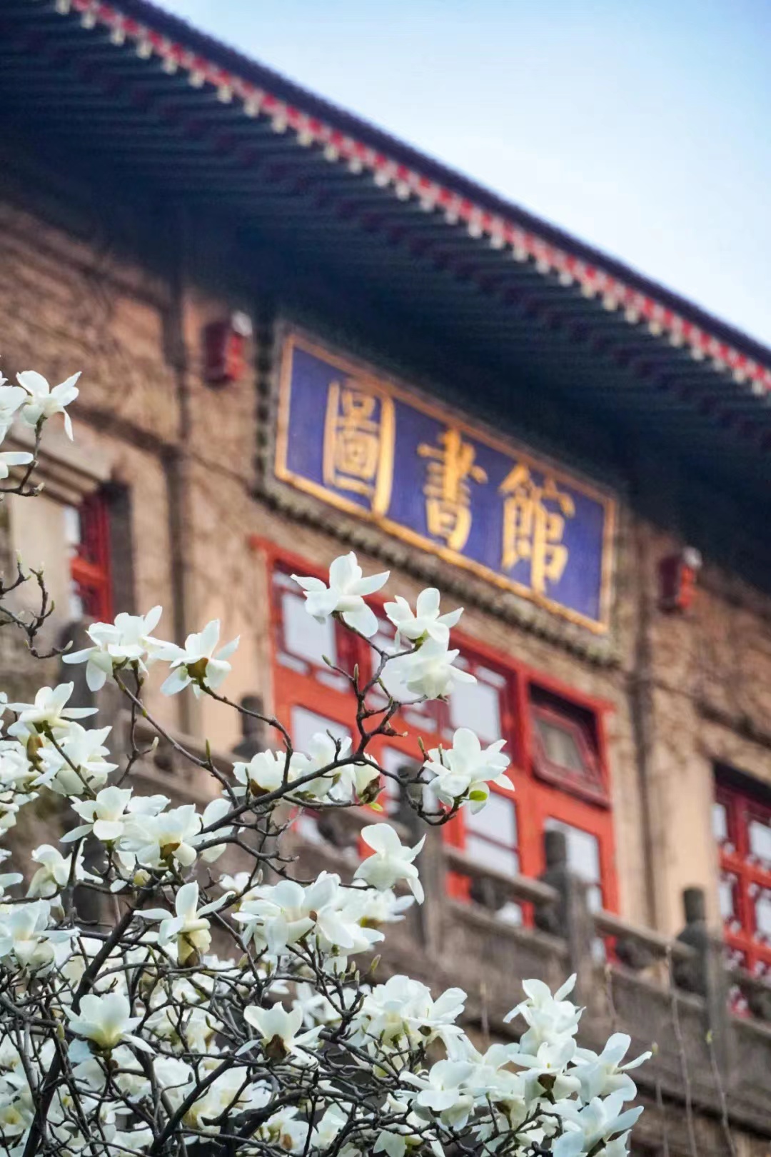 西安春天太美了,西安的春天美呆了