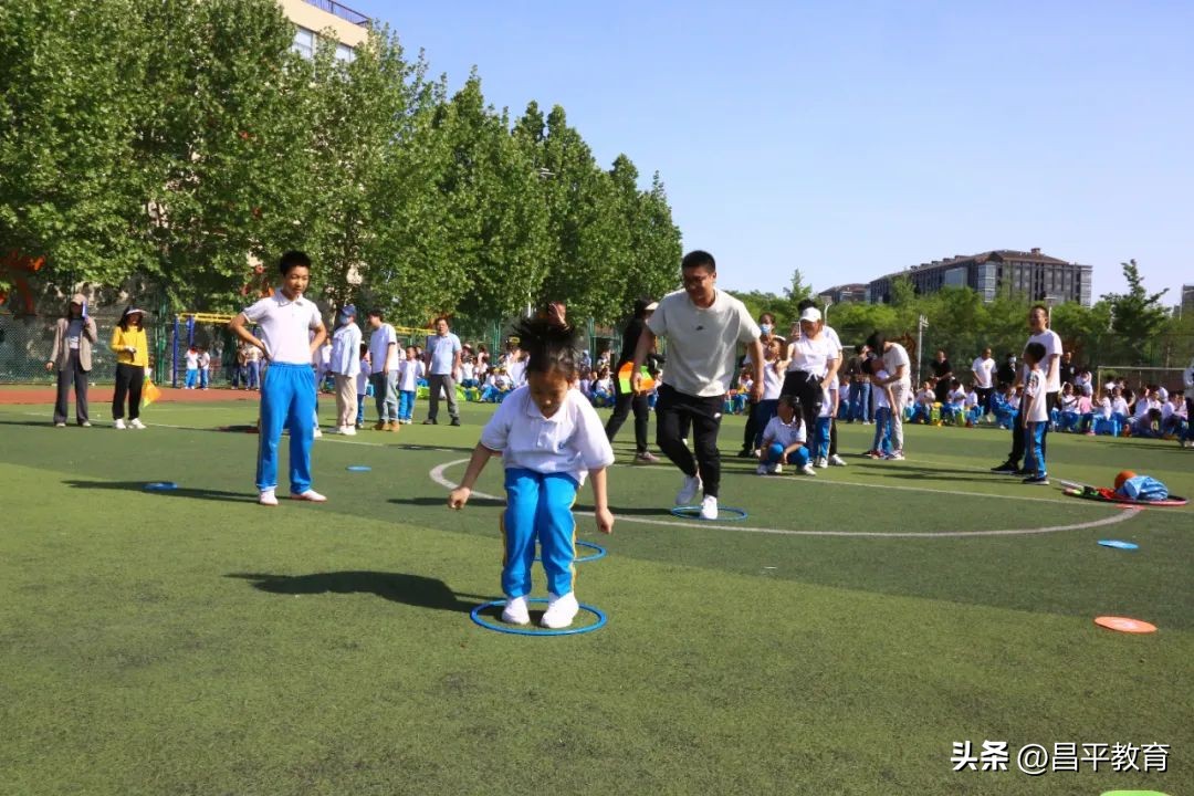 校园赛场青春激扬活力四射,推荐校园竞技