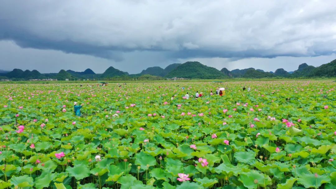 打飞的都要去坐的动车,怎么每站都这么好看