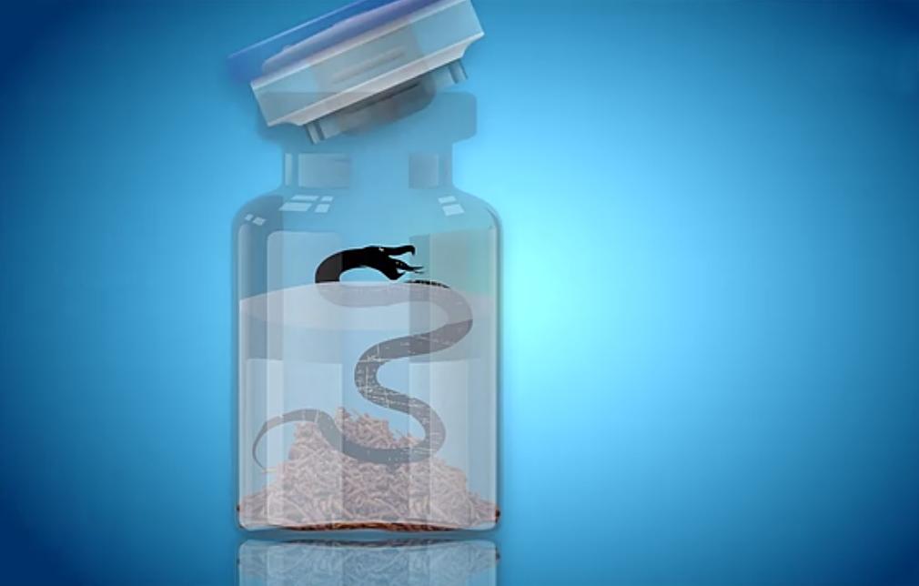 蛇泡酒一年后咬死人什么原理,蛇泡酒10年后咬死人是真的吗