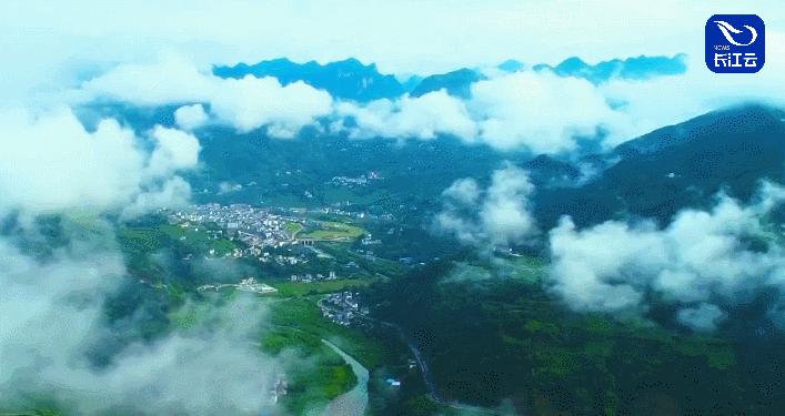 1+1＞2！“湖北茶”正用一种新方式俘获年轻人的味蕾