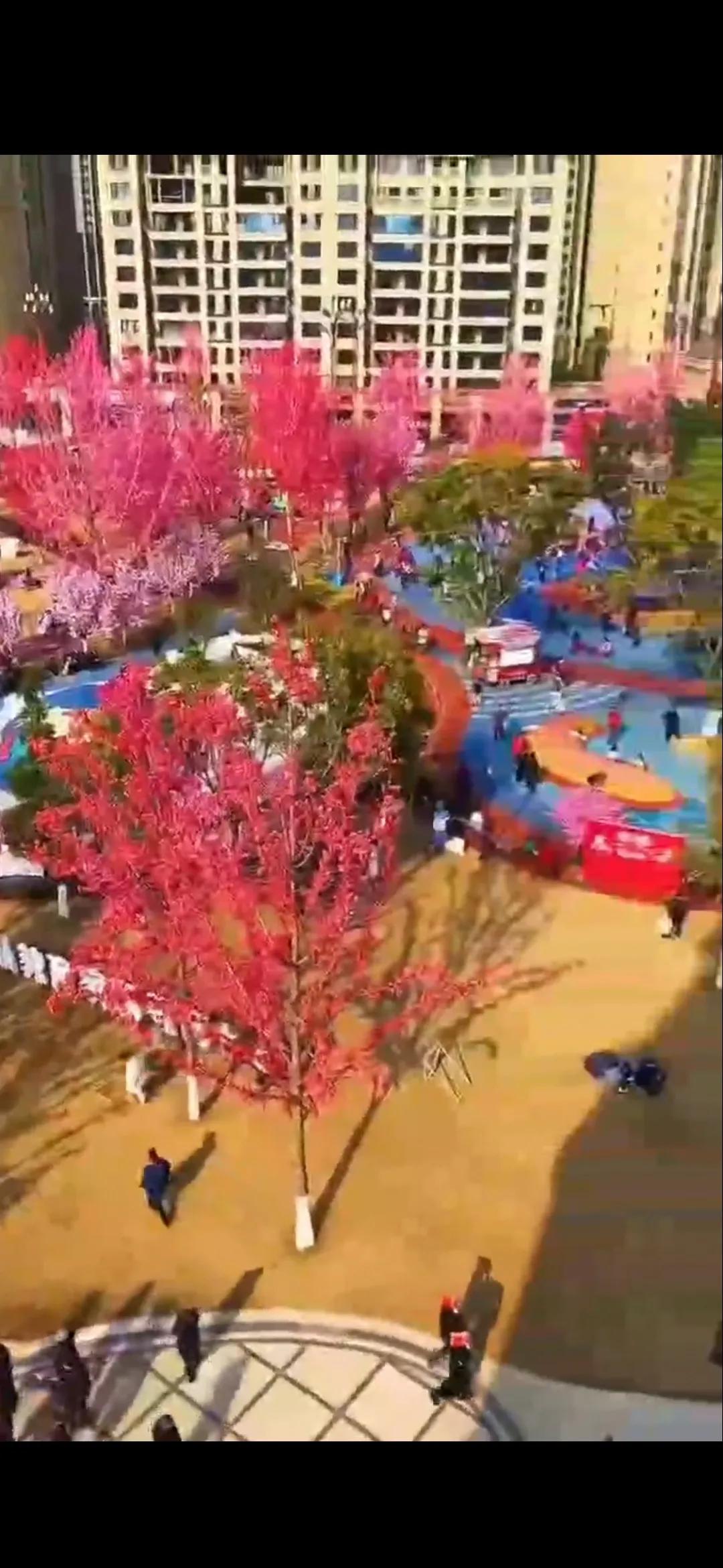 巴川中学重庆第一吗,成都巴川中学怎么样