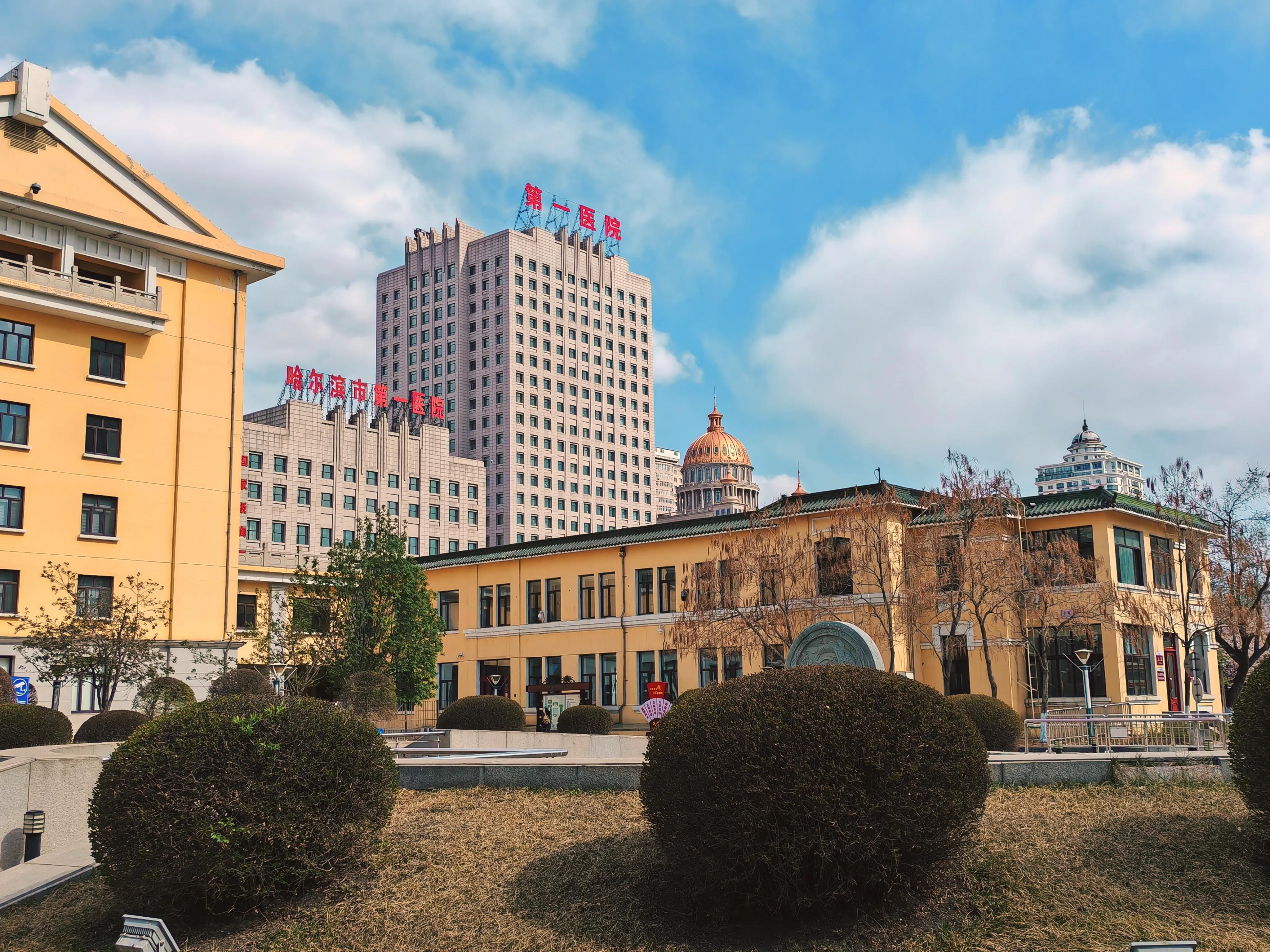 荣耀Magic5一天使用体验总结,荣耀magic5综合体验