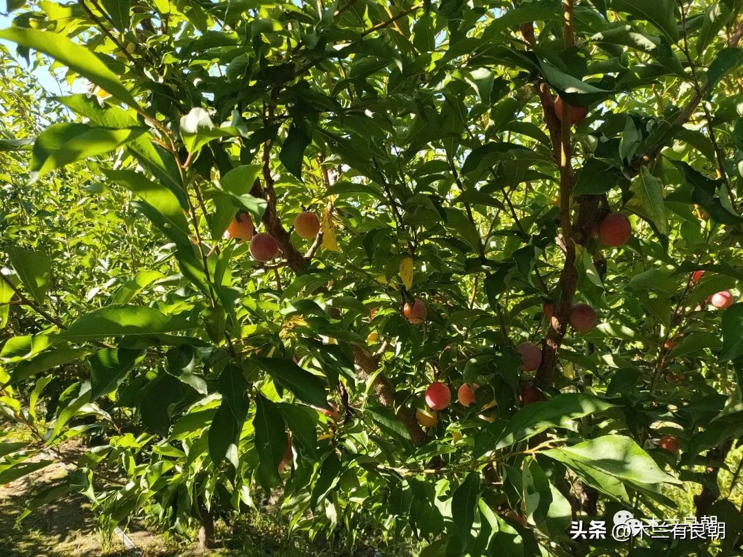 疫情虽然可怕但是我们永不畏惧,疫情依然不容小视