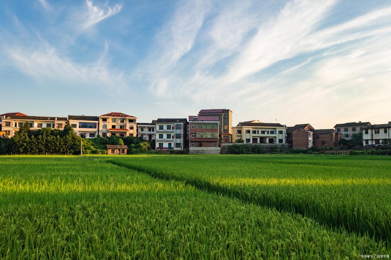 农村电商十大暴利门道,农村未来10大暴利行业现状