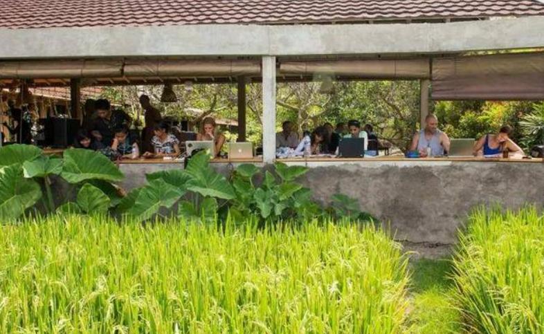 数字游牧民是什么,数字游牧民族