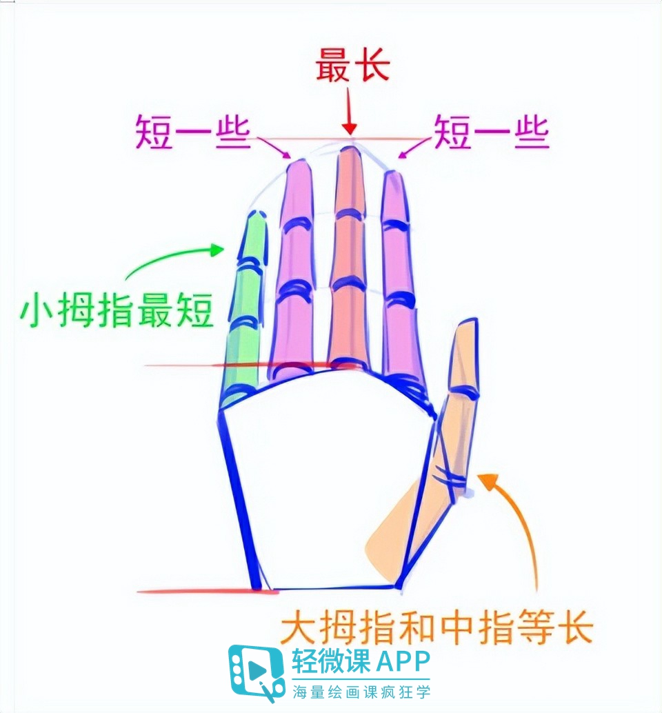 动漫人物的手部教程,简单动漫手部绘画