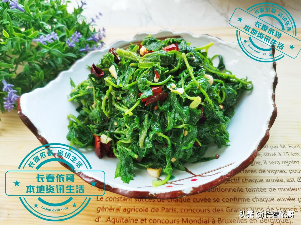 东北第一山珍刺老芽堪比海参,刺老芽刺五加山货