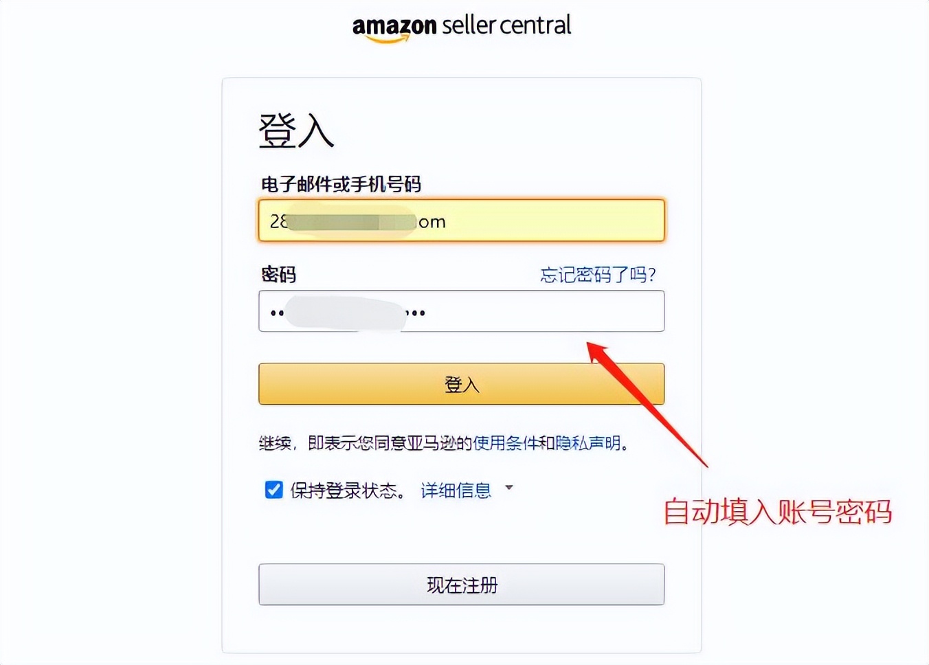 掘金海外遭遇“安全风暴”，卖家出海如何找到“护身符”？