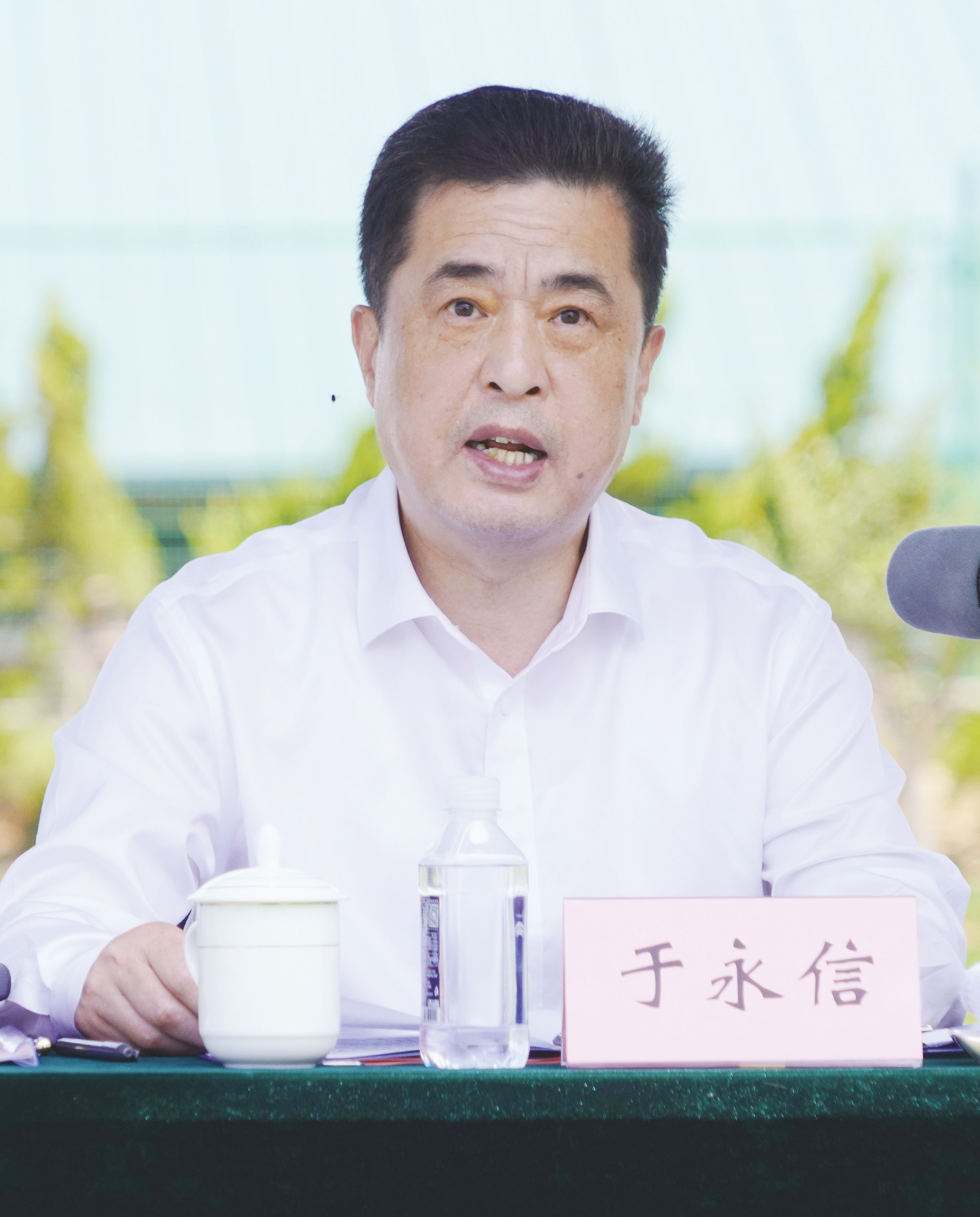 农墨重彩绘新景,农墨重彩绘丰景