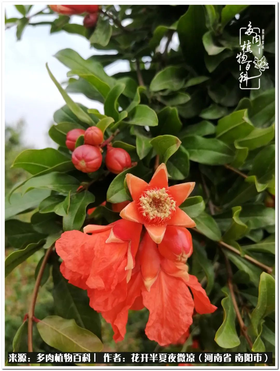 万事开头难只要坚持才有收获,万事开头难只要肯干就会有结果