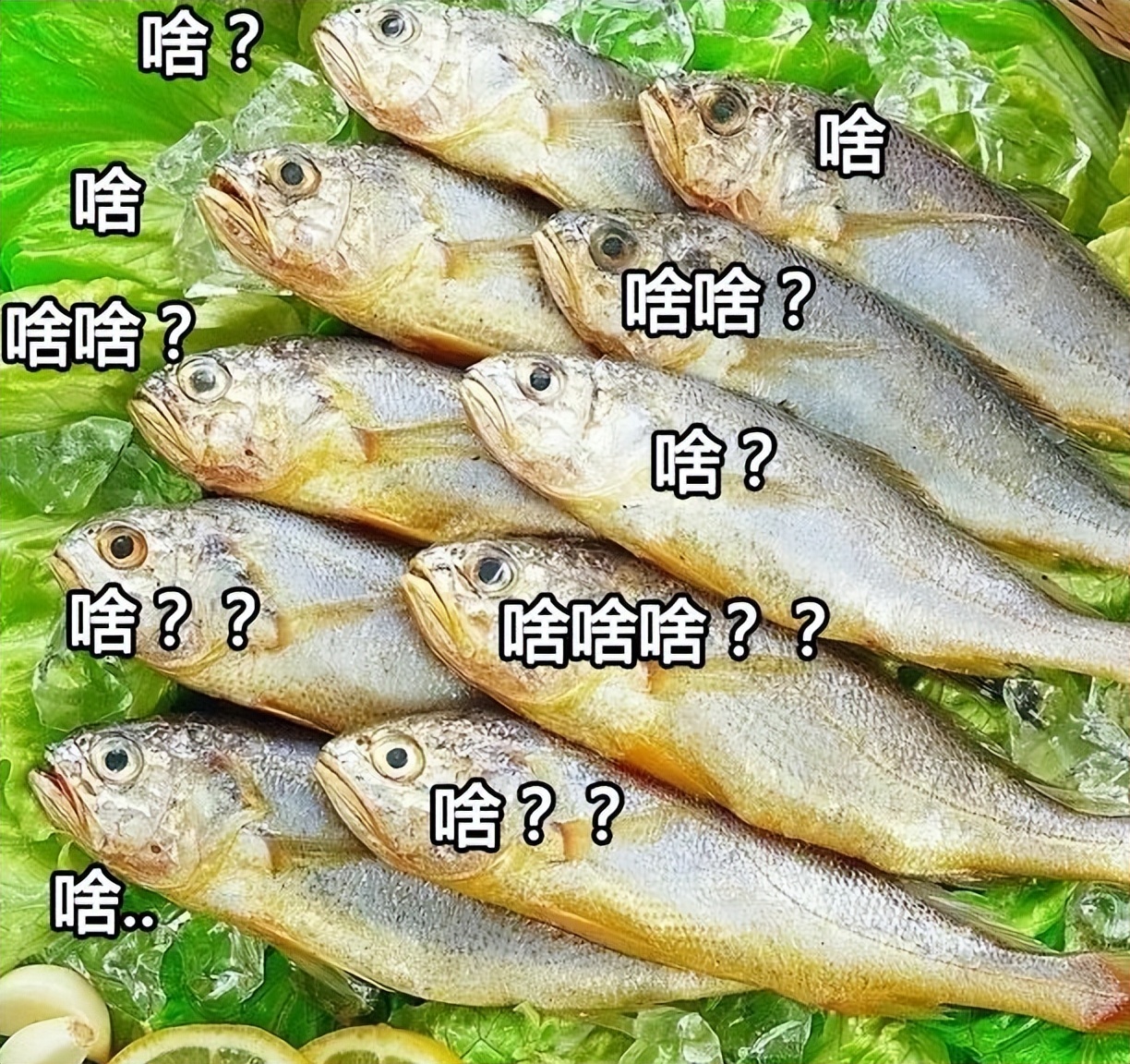 为什么有些人汗味特别重,有的人汗味很重有的人没有汗味