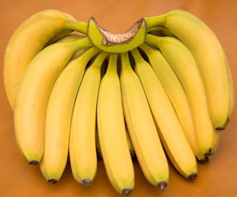 怎么防止香蕉水烂,怎么预防香蕉烂掉