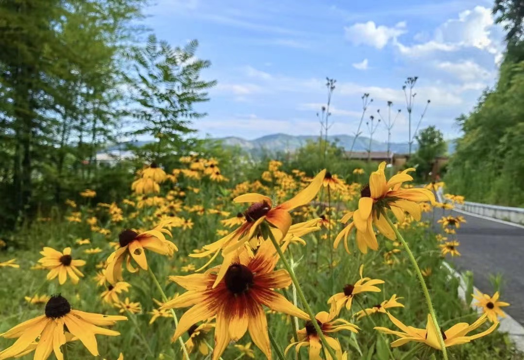 莫干山开元森泊和莫干山森泊,莫干山开元森泊2天一夜攻略