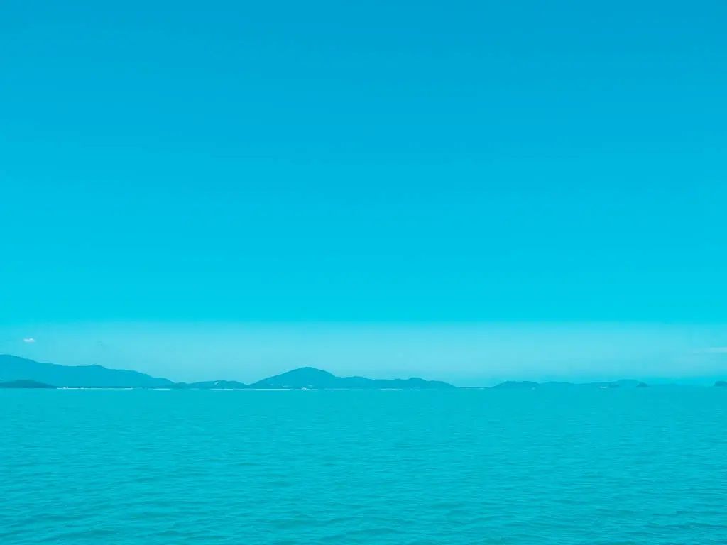 红海精神感悟,红海中不为人知的秘密