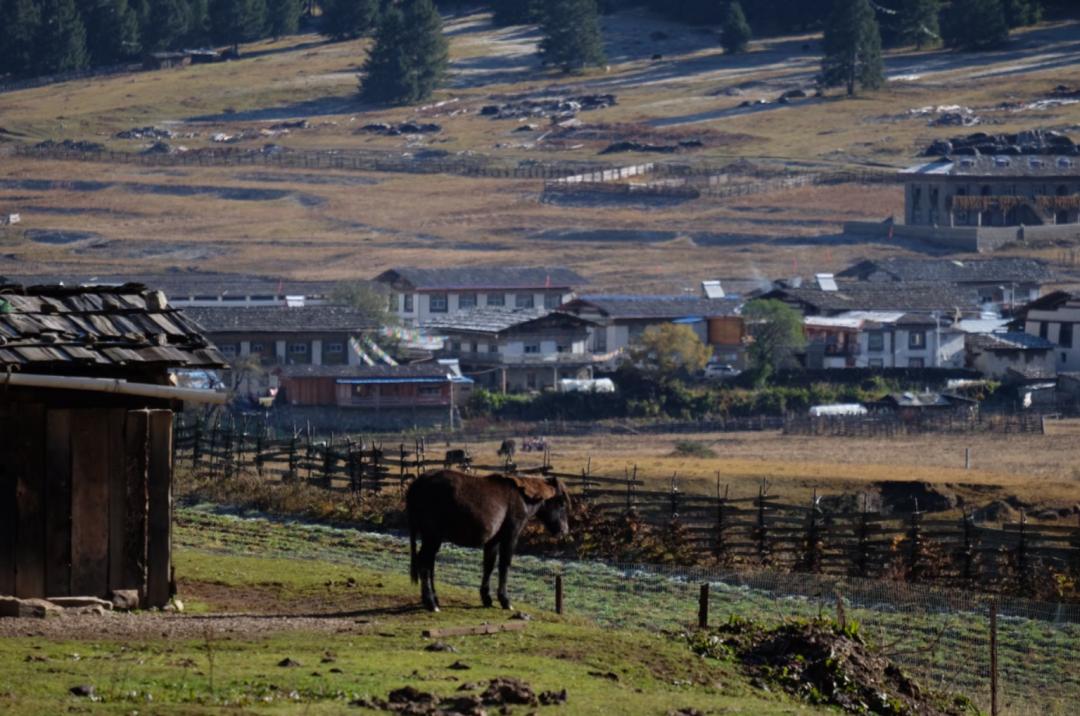 最美西藏十大景点,藏北旅游景点推荐