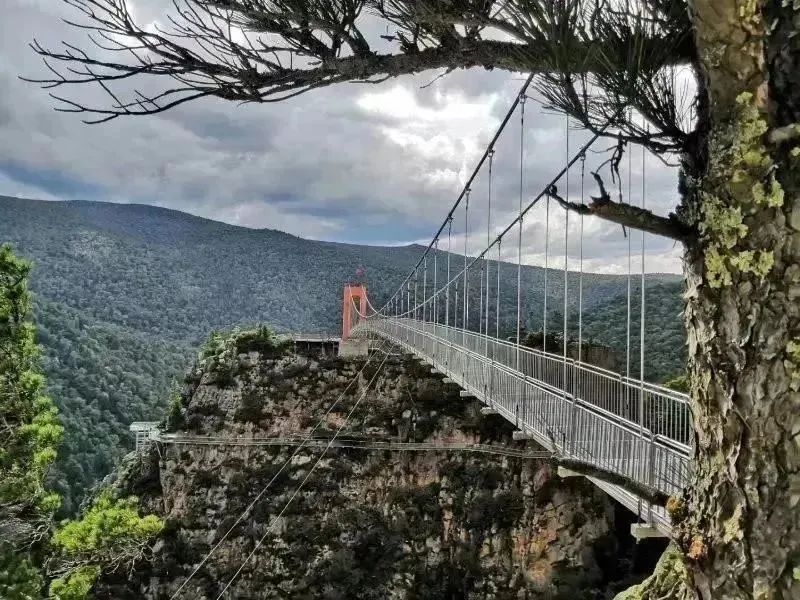 哈尔滨玩的地方推荐道里,梦幻漠河哈尔滨深度游