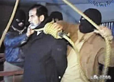 五月花朱志刚,五月花东星斑