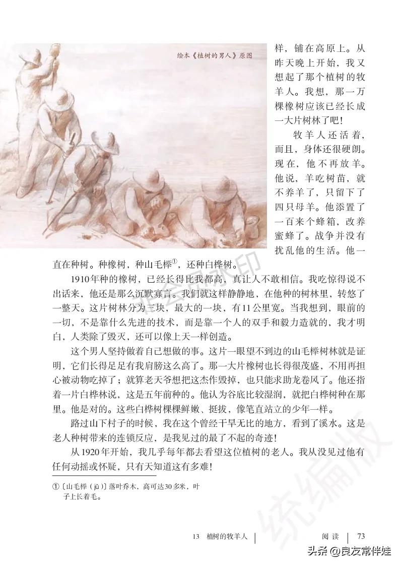 七年级语文课本电子完整版,七年级上册语文教材基础知识手册