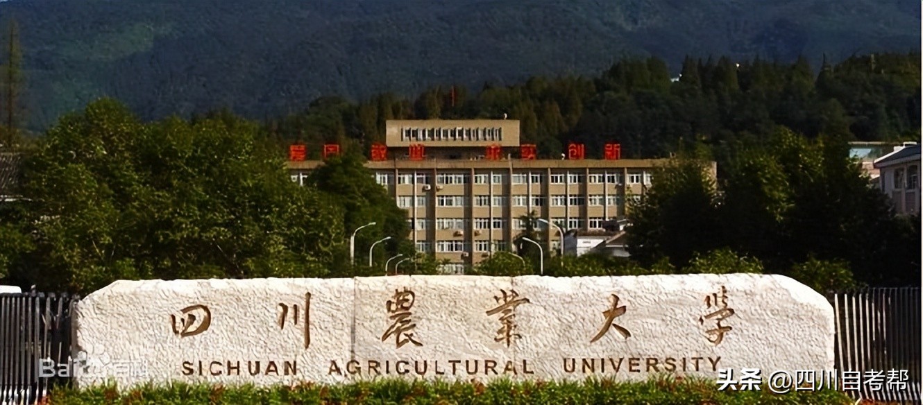 本科院校学位证审核流程,各高校学位证授予条件汇总表