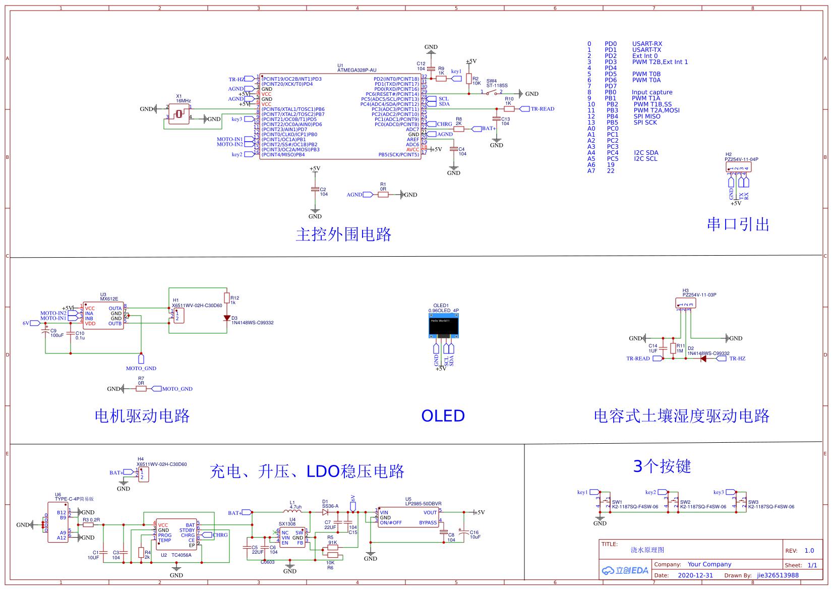 用针管自制浇水器,自制植物自动浇水器