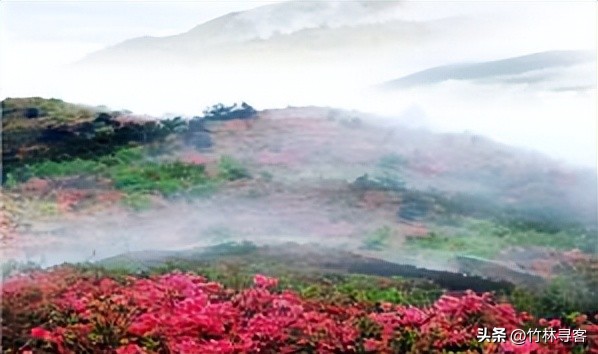 到井冈山去旅游怎么走,到井冈山去玩有没有导游