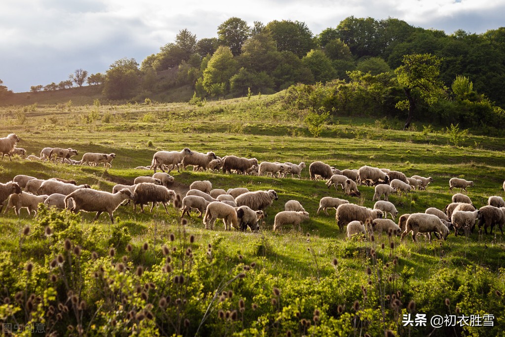 夏季田园风光七绝古诗,田园春景最好的诗