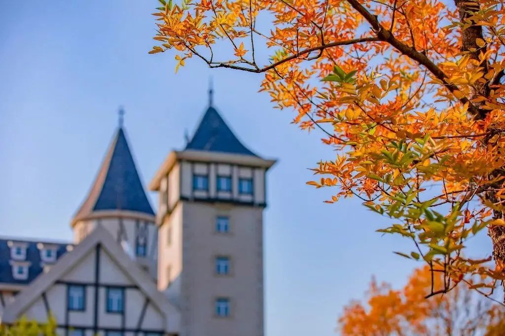 让世界微醺！沿着北纬37度黄金海岸，邂逅东方“波尔多”！