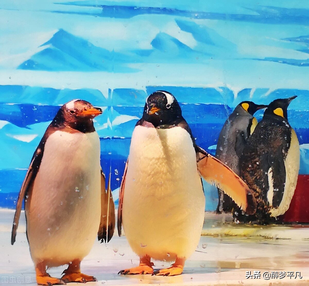 大连老虎滩和老虎滩极地海洋公园,老虎滩极地馆和老虎滩海洋公园