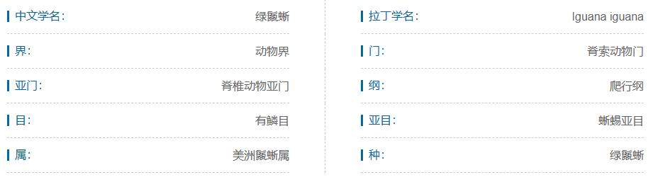 素食宠物食品,素食宠物零食有哪些品种