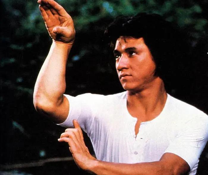 袁和平天下第一武术指导,袁和平是什么人