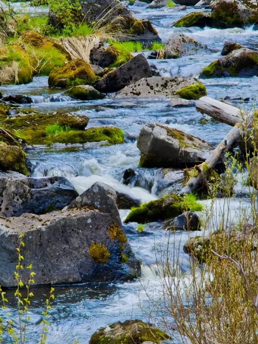 向北向北！|“美”在内蒙古