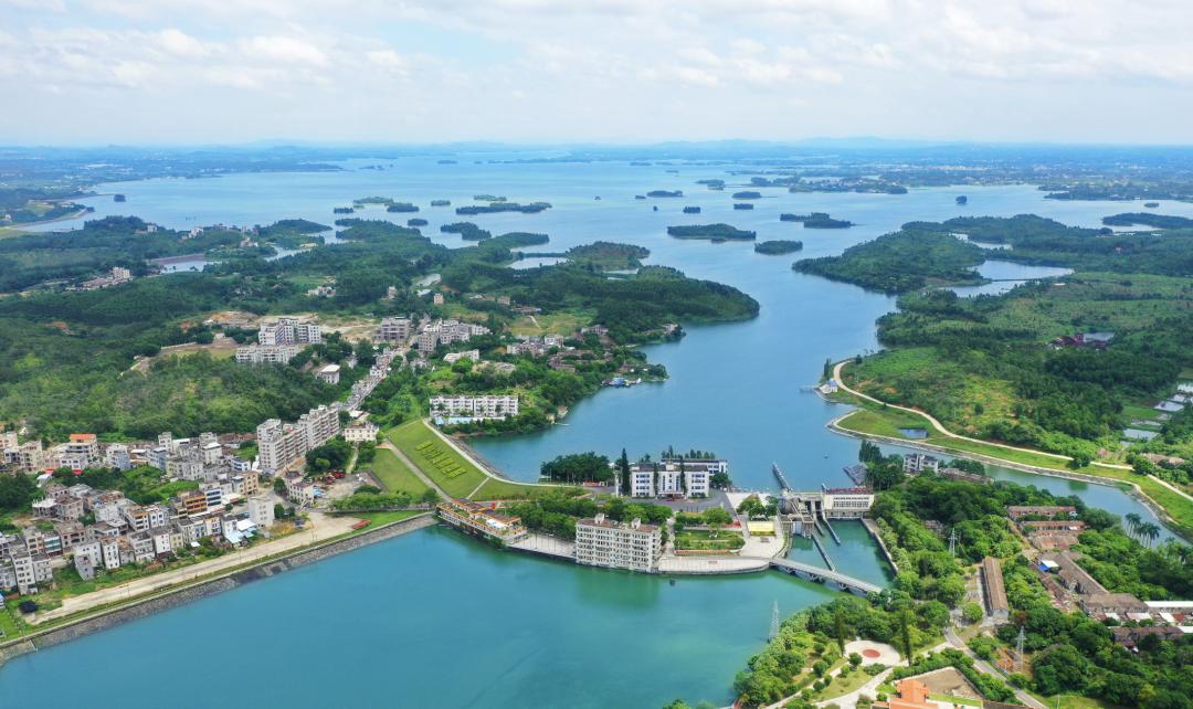 为什么会爱上广东,为什么会爱上英文歌