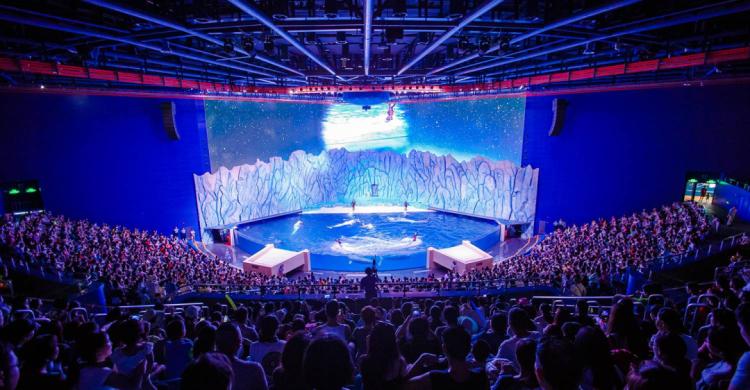 珠海长隆飞船酒店！海洋王国无限畅玩+畅游28楼绝美无边际泳池