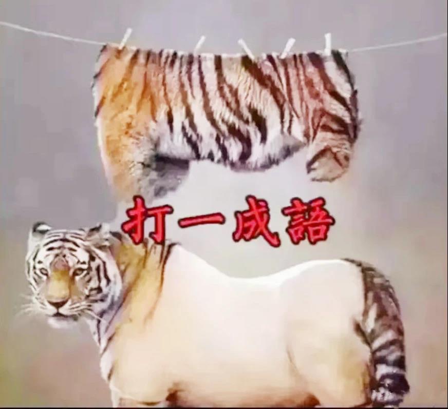 买了一个蚊帐先让室友试试,新买的蚊帐让室友先试试