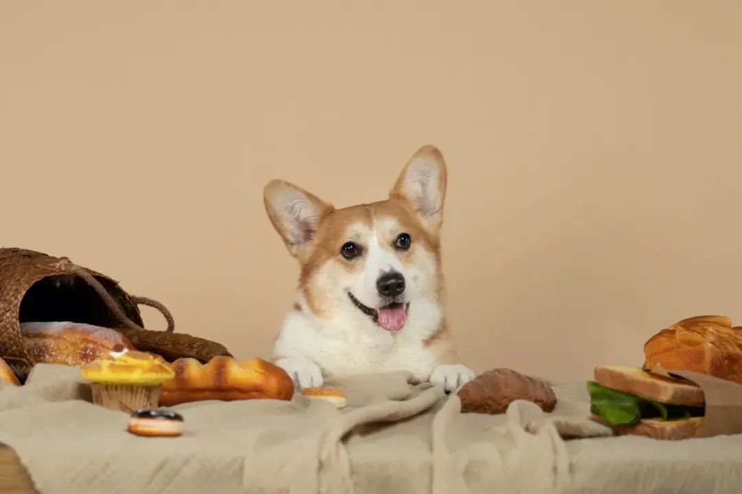 失业了可以做什么小本生意,失业做什么小本生意好