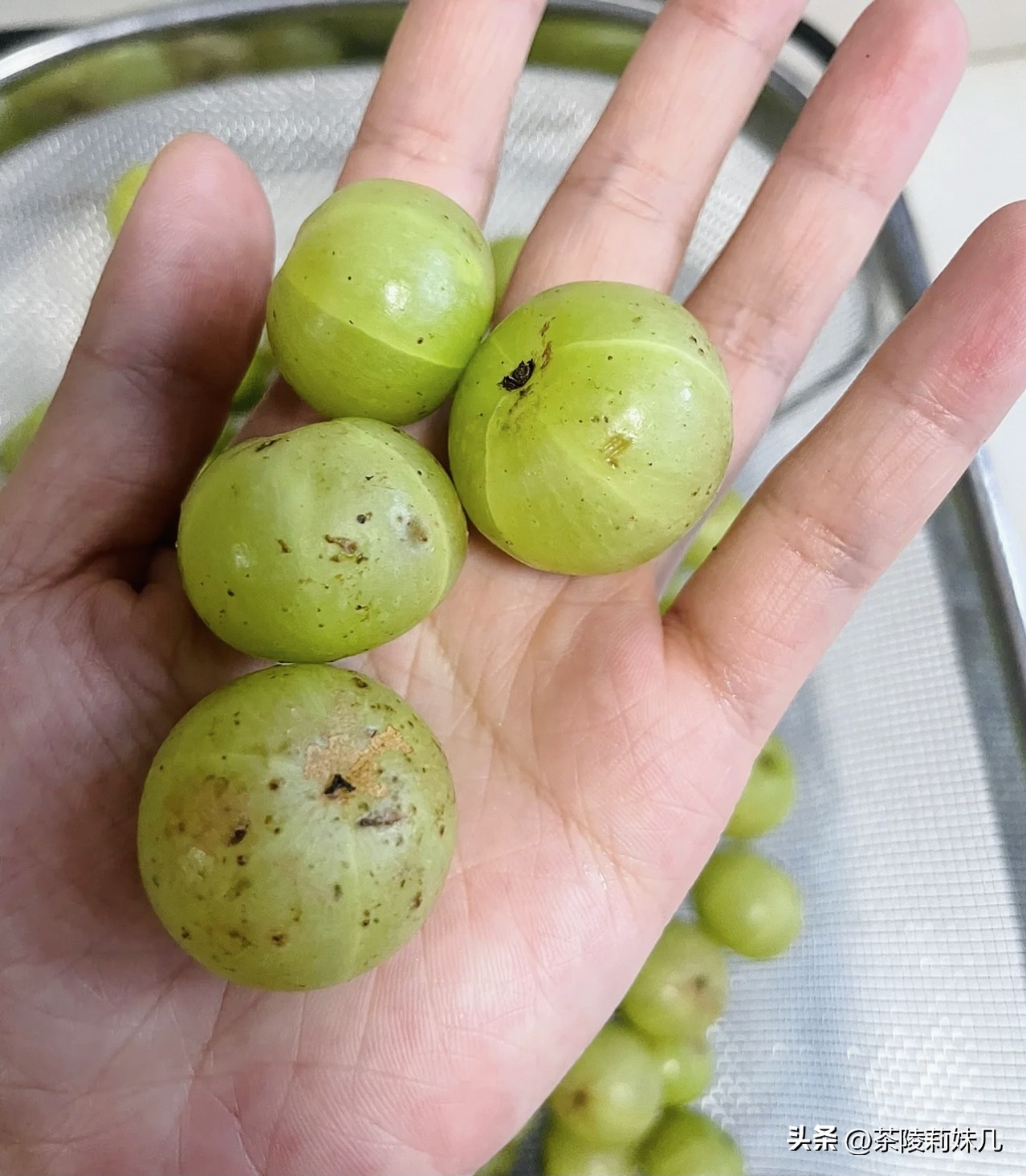 大人冬季咳嗽快速止咳小妙招雪梨,熬夜咳嗽快速止咳小妙招雪梨