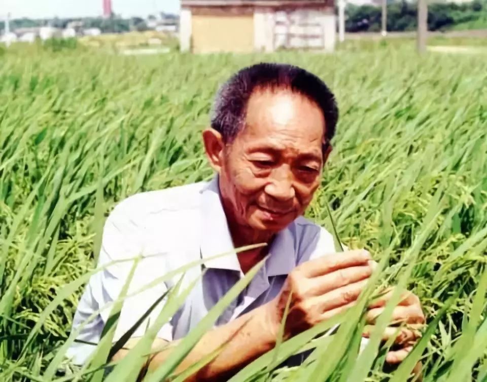 76年毛主席逝世，*东兴汪**看过悼词后提出一点意见，*国锋华**：我赞成