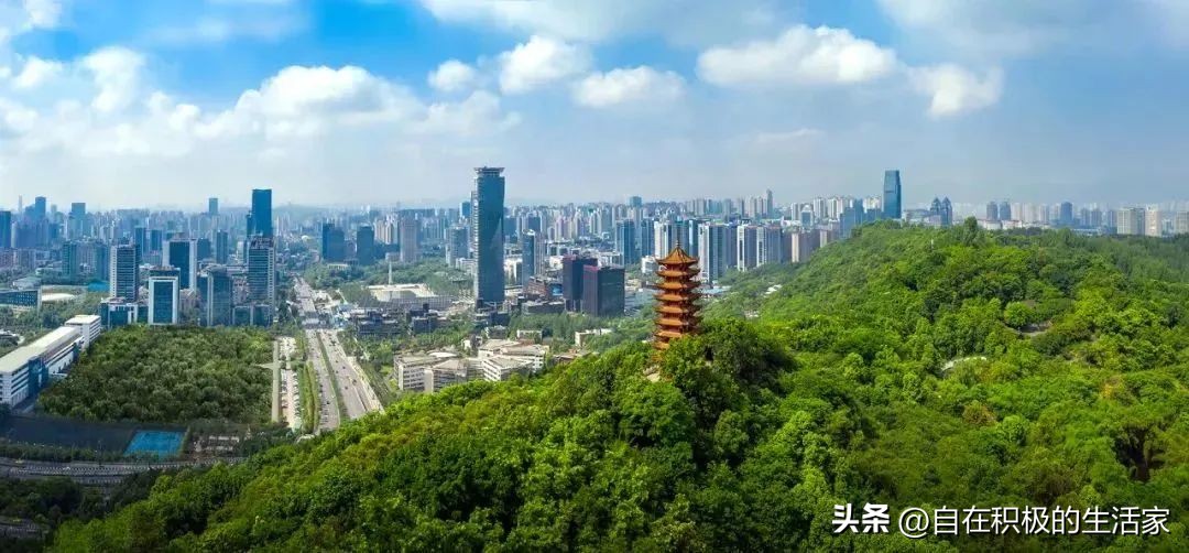 照母山中央公园,照母山和中央公园哪边发展好