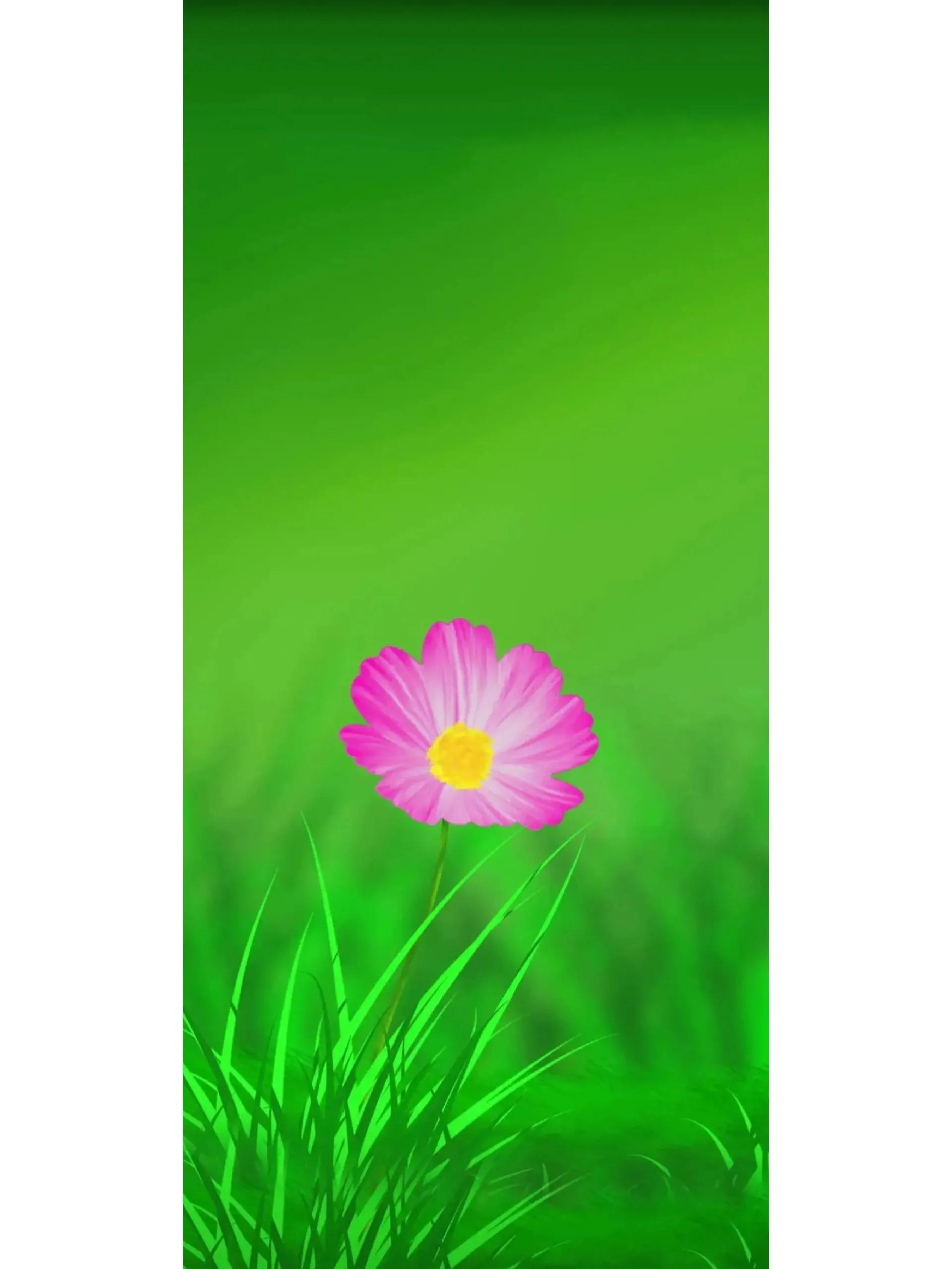 犬夜叉桌面壁纸和锁屏壁纸,锁屏壁纸和桌面壁纸的区别