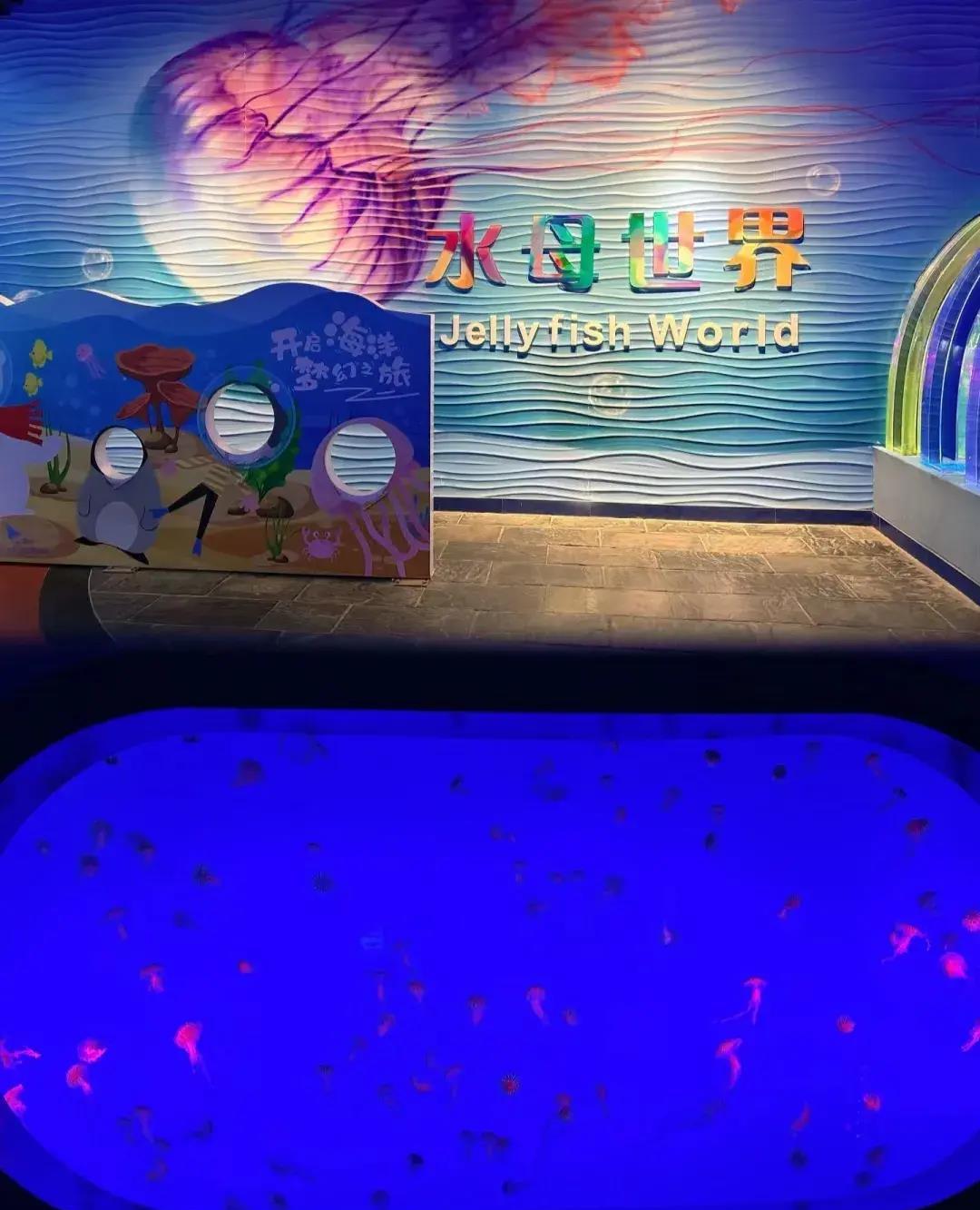 南京海底世界自驾游攻略,南京海底世界海底秀